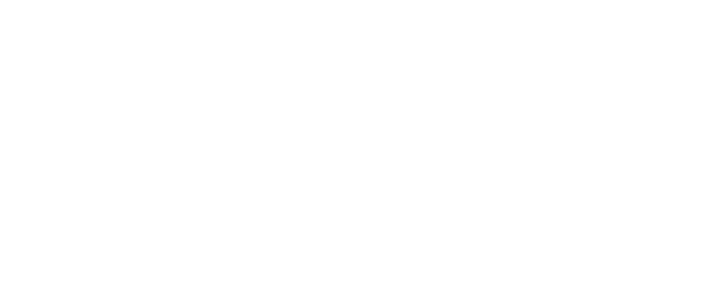 LOGO PARTNER-01