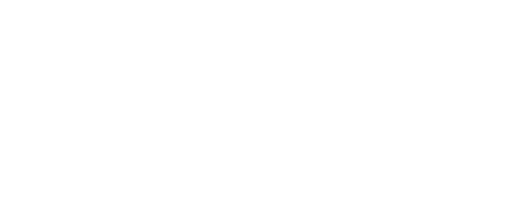 LOGO PARTNER-11