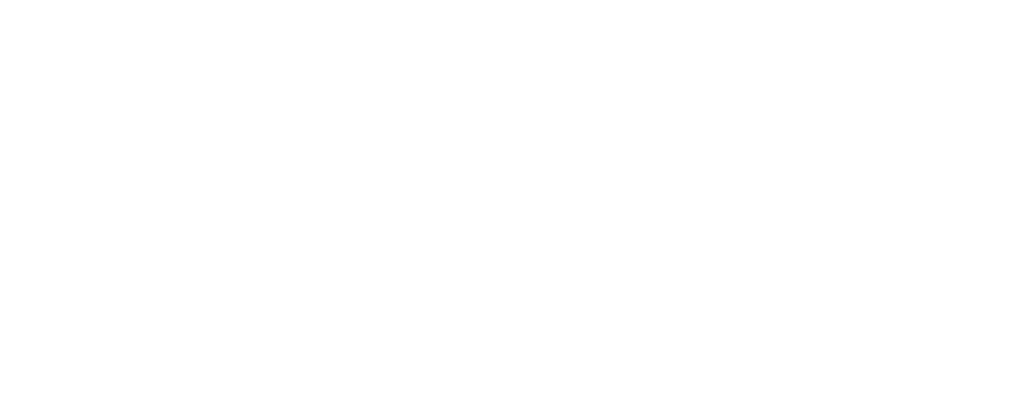 LOGO PARTNER-16