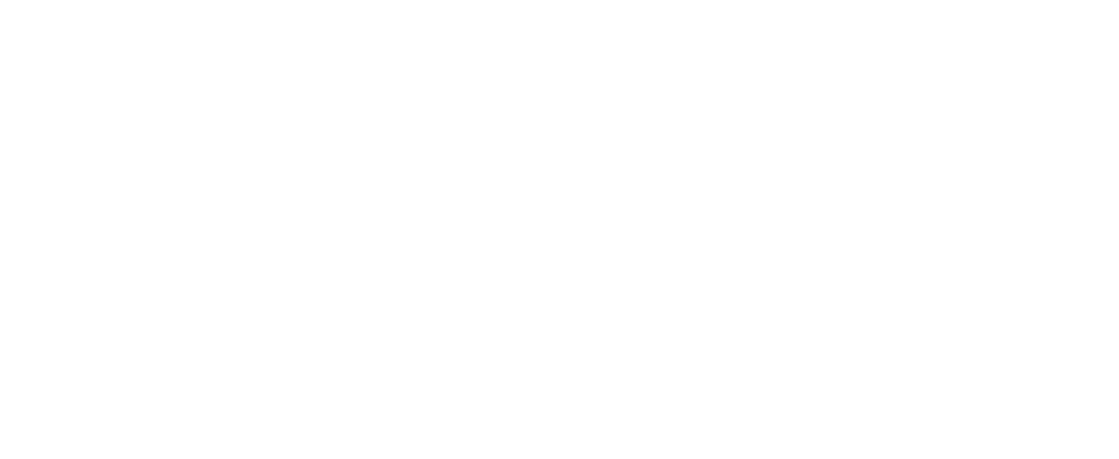 LOGO PARTNER-17